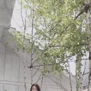 디플랫 - 파주시 회동길 446 | 디플랫
