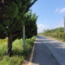 낙동대로 1739번길 이미지