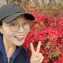 사계절점핑다이어트
