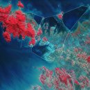 위성Q | Planet Labs(PL): 개화하는 관측 위성의 시대