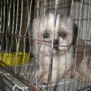 독립문동물병원 이미지