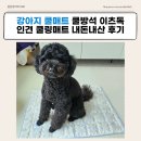 이츠독 | 강아지 쿨매트 추천 쿨방석 이츠독 인견매트 내돈내산 후기