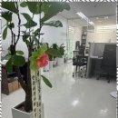 우리세무회계 이미지