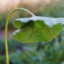 호박마트 이미지