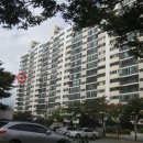 하단동1101 이미지