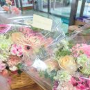 영림약국 이미지