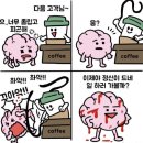 갤러리네이쳐 이미지