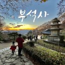 NR-45[문화로]-상-639 | [경북여행] 영주 부석사 (유네스코 세계문화유산) 선비화