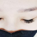 호수J속눈썹
