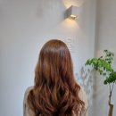 월천Salon
