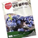 블루베리 이미지