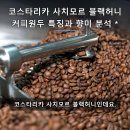 코스타리카 사치모르 블랙허니 커피원두 특징과 향미 분석 이미지