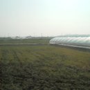 수북농협주유소 이미지