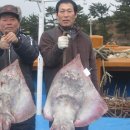 홍어 박사네 네이버블로그
