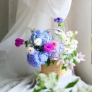 ENG Available Flower Shop in Gangnam 한남동 호텔꽃배달 블루 수국꽃바구니 라포레드희아틀리에...