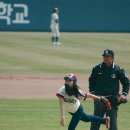 야구장 - 전주시 완산구 | 야구장
