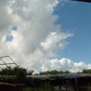 삼호농장 이미지