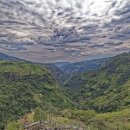 산 카카오 검색결과