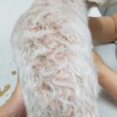 햇빛동물병원 이미지