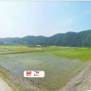 당평초등학교 이미지