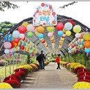 황룡강 꽃길 이미지