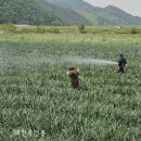 하늘항공방제 - 논산시 성동로 375-30 | 하늘항공방제