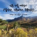 백담알프스펜션 | [내돈내산 국내 여행후기] 강릉 양양 겨울바다 여행지...선물 (설악산, 백담황태구이, 오핑하우스...