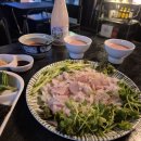 진도막회 | 한식주점 사색 마곡발산 본점｜자연산 막회와 전통주 분위기 좋았던 술집