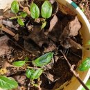 샘말농장 이미지