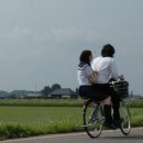 소금 - 용인시 처인구 | 소금