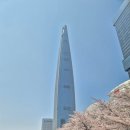 안양천 | 🌸 2026 서울 벚꽃 명소 BEST 7 | 석촌호수·안양천 직접 다녀온 후기 총정리