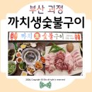 샘터지에스 - 용산구 한강대로 123-1 | 괴정 고기집 까치생숯불구이 괴정직영점 괴정동 맛집 또 오게되는 이유ᰔ