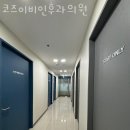 코즈이비인후과의원 네이버블로그