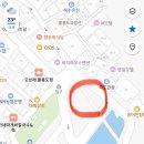 동해물약국 | 울릉도 3박 4일 100% 내돈내산 식당, 숙소 후기! 1탄 (+낚시 포인트 , 렌트카 , 묵호 - 울릉도)