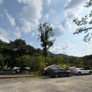 미진새꽃직매장 | 광주근교 캠핑장 추천:) 담양 삼인산밸리 캠핑장
