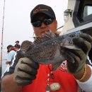 갈매기1호 이미지