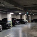 동편스크린골프 | [안양/관양동] 동편스크린골프 가격, 후기