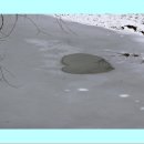 숲속의이야기
