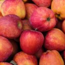 성주농장 이미지