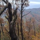 샤브작샤브작 이미지