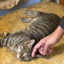 선산수산 이미지