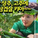 선산촌집 이미지