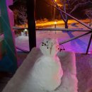 신월동043 이미지