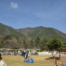 둘레목장 | 대구근교 아이랑 가볼만한곳 경북 상주 모동목장 후기:)