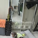 서울대입구역네일 계네일잘한대 패디 가격 및 후기