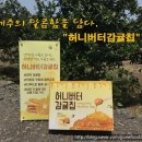 종달이야기