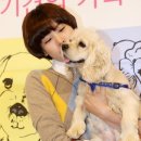 더페밀리 이미지