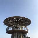 북면443 | 443. 울진 망양정해변_삼부자 캠핑(Scamp)