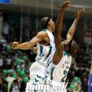 화이트 독 이미지