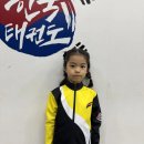 석사한국태권도장 이미지